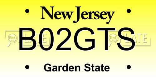 B02GTS New Jersey License Plate