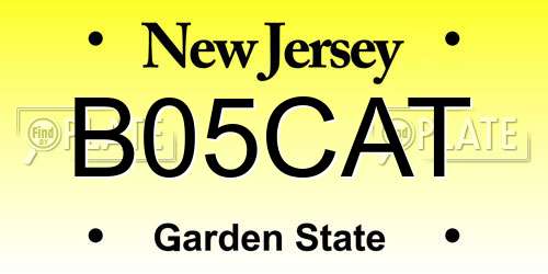B05CAT New Jersey License Plate