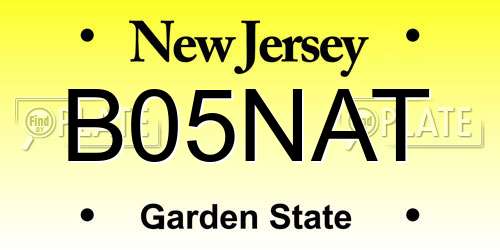 B05NAT New Jersey License Plate