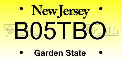 B05TBO New Jersey License Plate