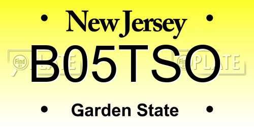 B05TSO New Jersey License Plate