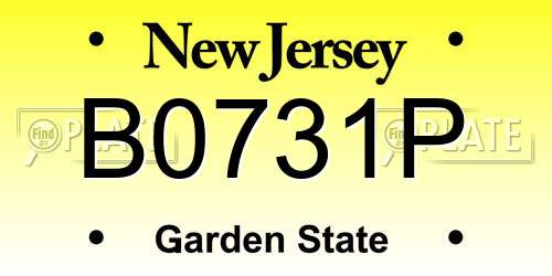 B0731P New Jersey License Plate