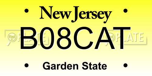 B08CAT New Jersey License Plate