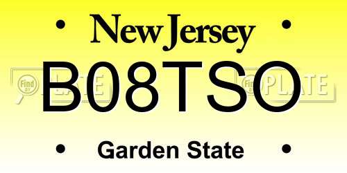 B08TSO New Jersey License Plate