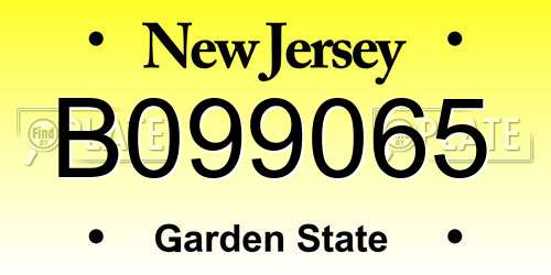 B099065 New Jersey License Plate