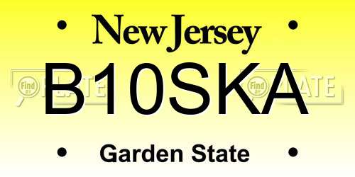 B10SKA New Jersey License Plate