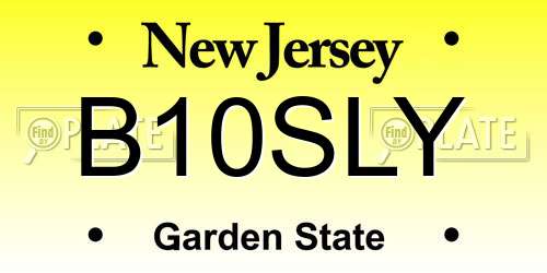 B10SLY New Jersey License Plate