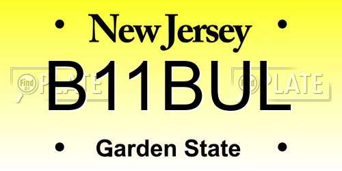 B11BUL New Jersey License Plate