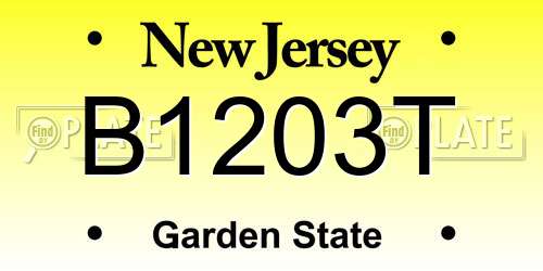 B1203T New Jersey License Plate