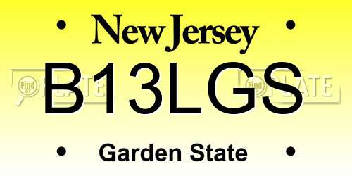 B13LGS New Jersey License Plate