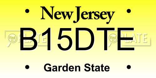 B15DTE New Jersey License Plate
