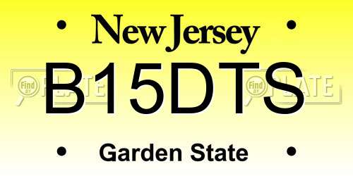 B15DTS New Jersey License Plate