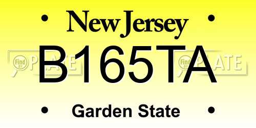 B165TA New Jersey License Plate