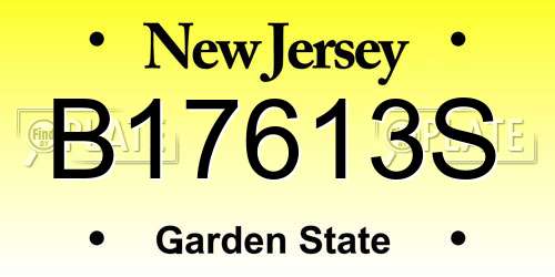 B17613S New Jersey License Plate