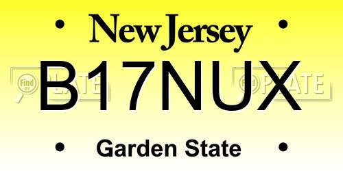 B17NUX New Jersey License Plate