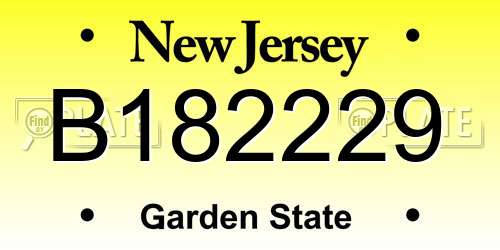 B182229 New Jersey License Plate