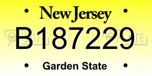B187229 New Jersey License Plate