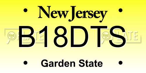B18DTS New Jersey License Plate