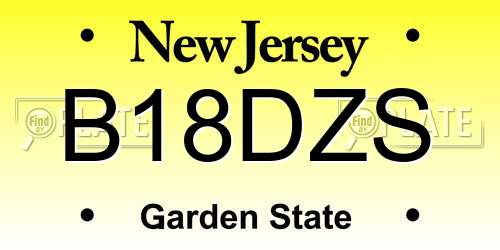 B18DZS New Jersey License Plate