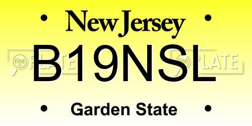 B19NSL New Jersey License Plate