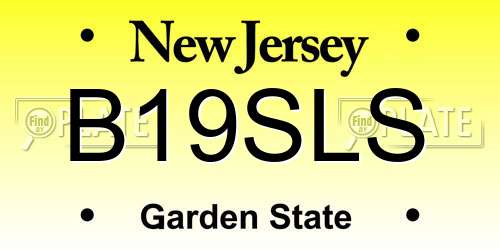B19SLS New Jersey License Plate