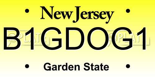 B1GDOG1 New Jersey License Plate