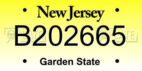 B202665 New Jersey License Plate