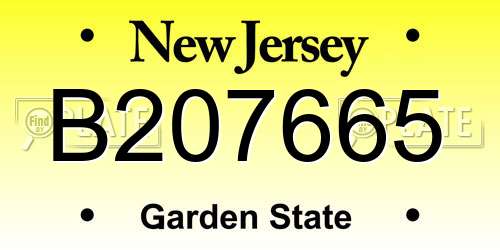 B207665 New Jersey License Plate