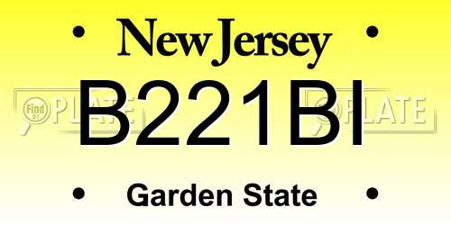 B221BI New Jersey License Plate