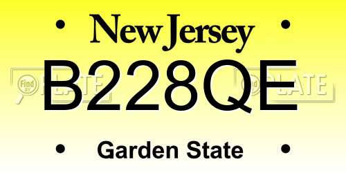 B228QE New Jersey License Plate