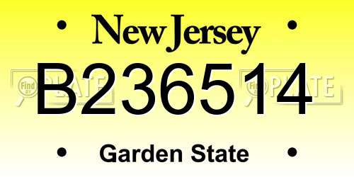 B236514 New Jersey License Plate