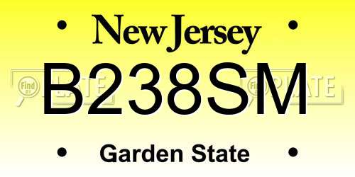 B238SM New Jersey License Plate