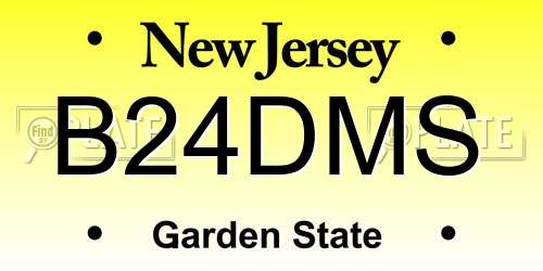 B24DMS New Jersey License Plate
