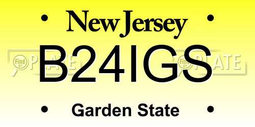 B24IGS New Jersey License Plate