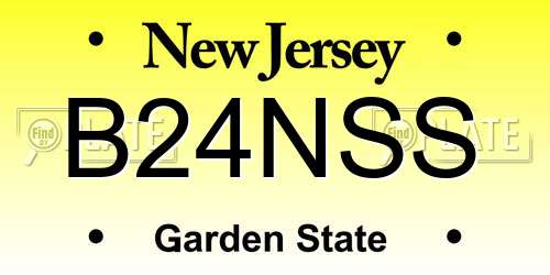 B24NSS New Jersey License Plate