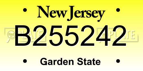 B255242 New Jersey License Plate