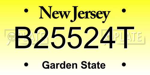 B25524T New Jersey License Plate