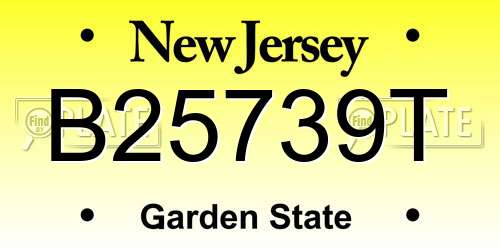 B25739T New Jersey License Plate