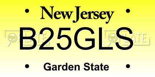 B25GLS New Jersey License Plate