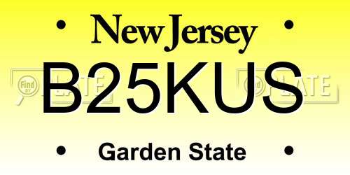 B25KUS New Jersey License Plate