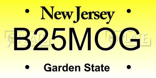 B25MOG New Jersey License Plate