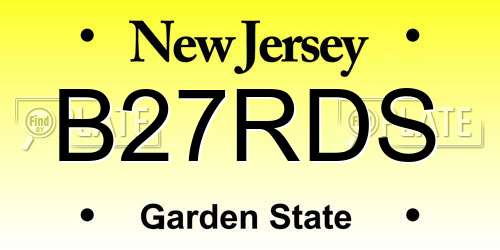 B27RDS New Jersey License Plate