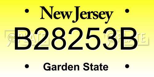 B28253B New Jersey License Plate
