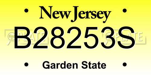 B28253S New Jersey License Plate