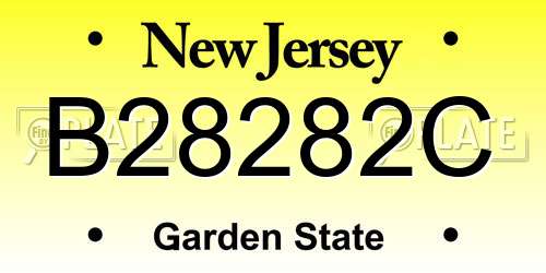 B28282C New Jersey License Plate