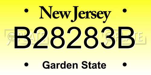 B28283B New Jersey License Plate