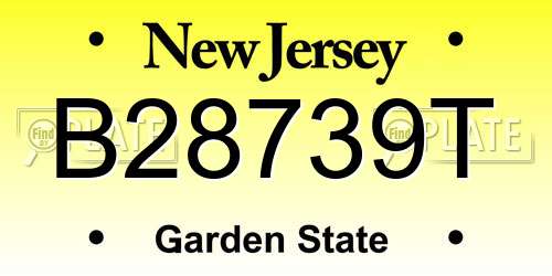 B28739T New Jersey License Plate