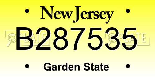 B287535 New Jersey License Plate