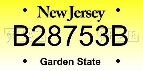 B28753B New Jersey License Plate
