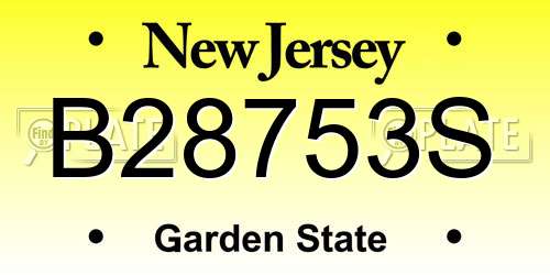 B28753S New Jersey License Plate